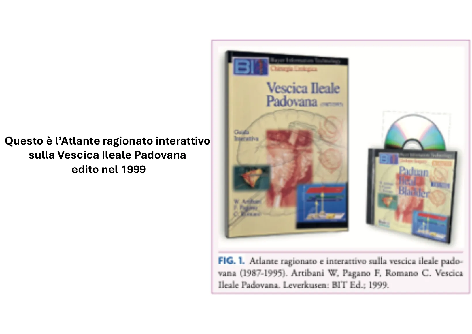 Page 4: The interactive atlas of 1999
