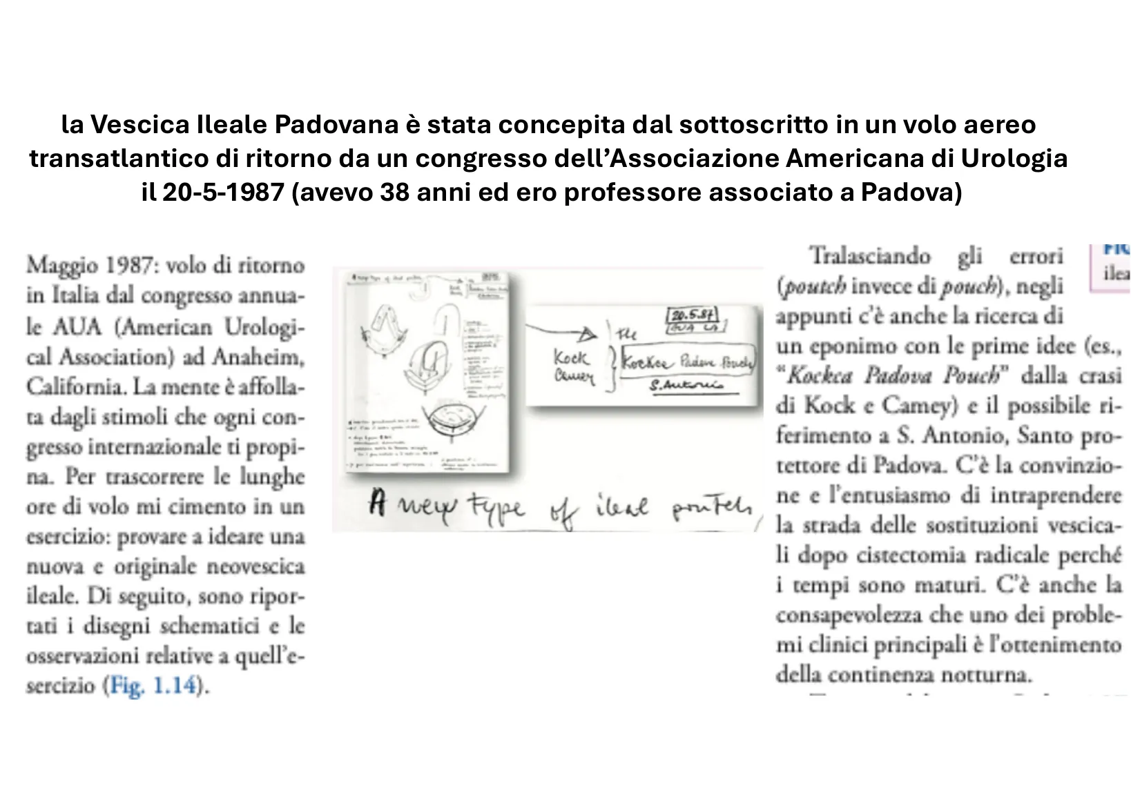 Page 8: The idea on the flight home from the AUA meeting, 20 May 1987