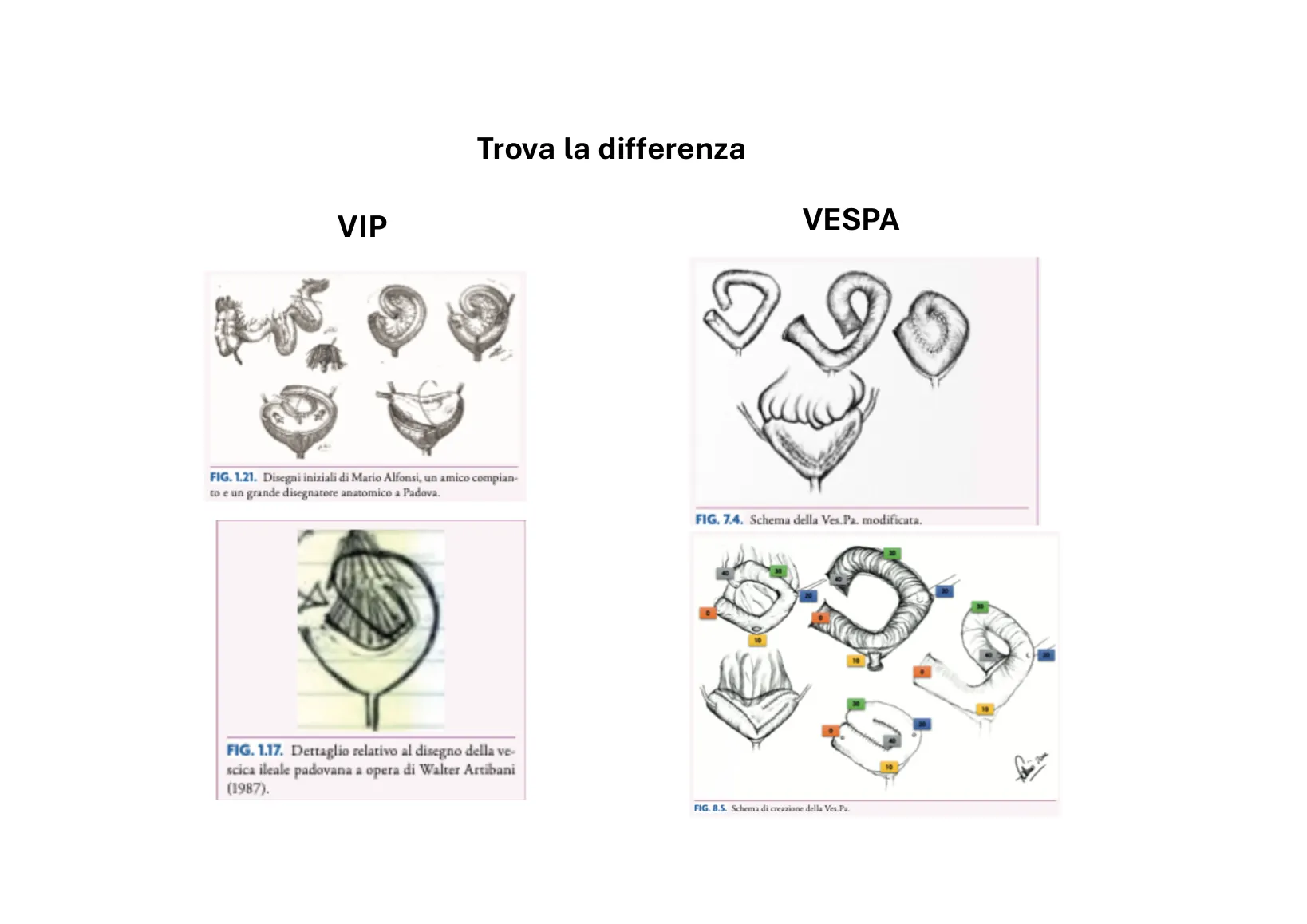 Page 15: Spot the difference: VIP and VESPA